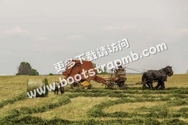 ⊞ Portfolio - FIFA官网dayu